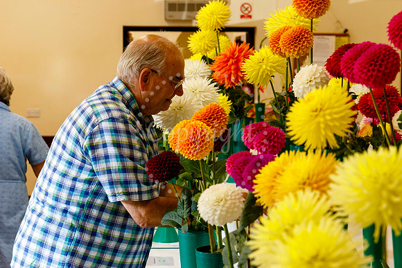Diss Horticultural Society Annual flower show at Roydon Village