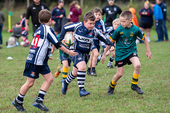 Bury St Edmunds Rugby Club, Southgate Green, Bury St Edmunds Bu