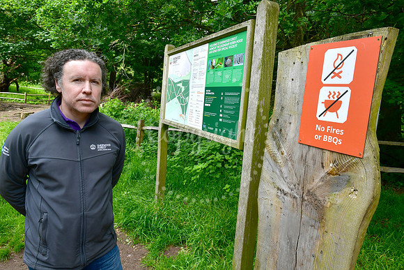 Sherwood Forest Anti-Wildfire capaign