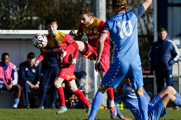 Walsham-le-Willows vs Ely City
