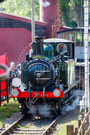 Bressingham Steam Museum annual steam gala