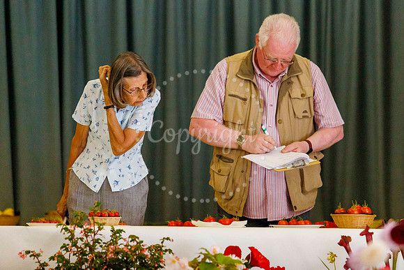 Diss Horticultural Society Annual flower show at Roydon Village