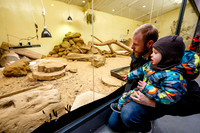 Banham Zoo has offered kids go free during the half term week.