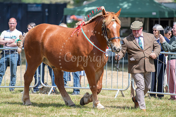 SPF Holbecks Park, Hadleigh, Suffolk186th Hadleigh Show. Pictur