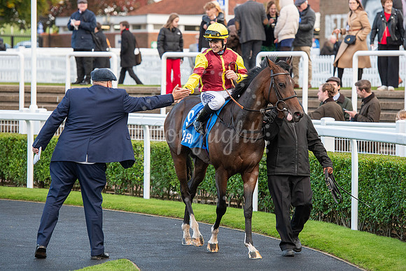 Newmarket Rowley Mile racecourseDubai Future Champions’ weeke