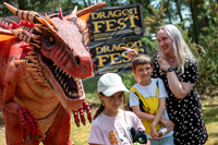 BFP West Stow Anglo Saxon VillageDragon Fest. Picture by Mark W