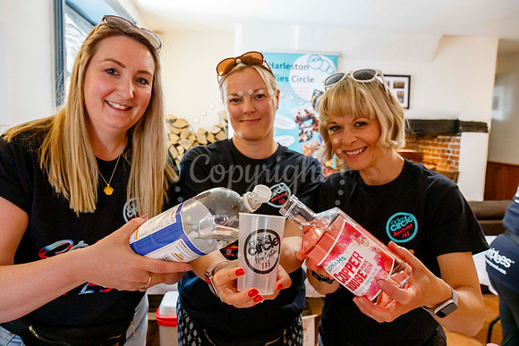 Harleston Ladies Circle Springfest