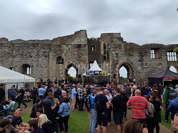 Beer Festival