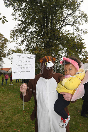 Peaceful picnic and music to protest against felling of trees