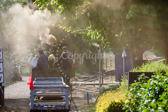 Bressingham Steam Museum annual steam gala