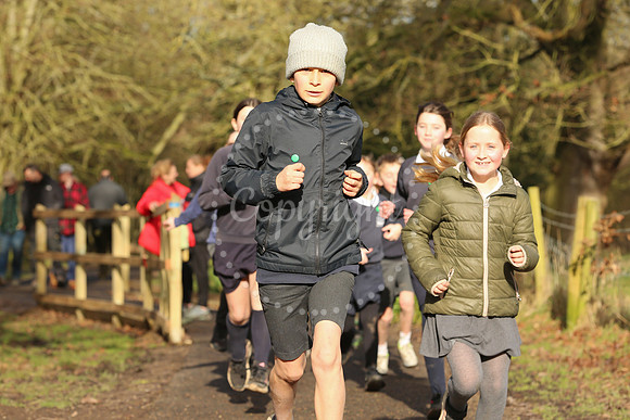 Thornham Walks opening ceremony