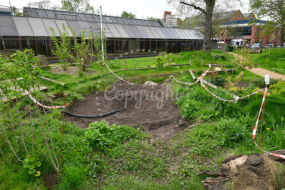 Work at The Queen Elizabeth Memorial Garden