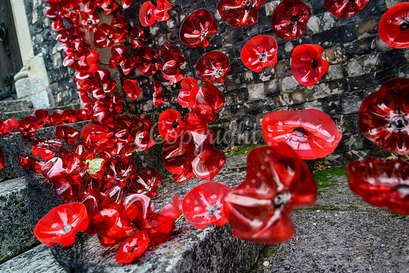 World War One display in the church at Harleston to mark the Armistice.