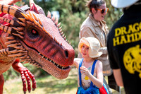 BFP West Stow Anglo Saxon VillageDragon Fest. Picture by Mark W