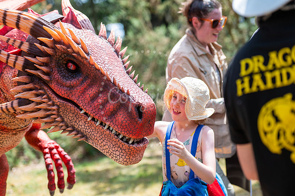 BFP West Stow Anglo Saxon VillageDragon Fest. Picture by Mark W
