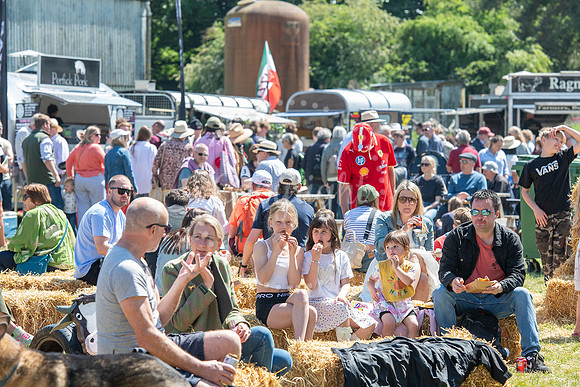 SPF Holbecks Park, Hadleigh, Suffolk186th Hadleigh Show. Pictur