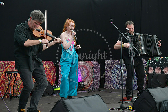Gate to Southwell Festival