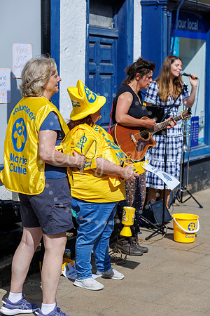 Marie Curie Charity collection Harleston