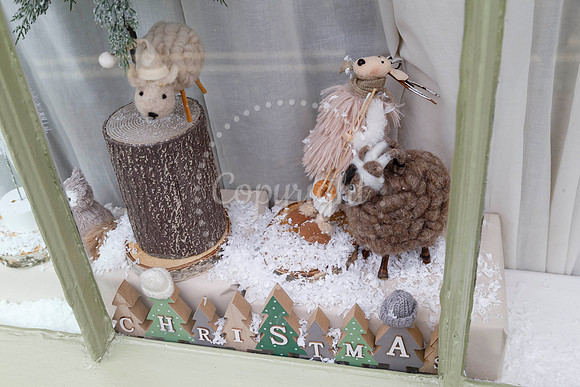 Double Street Advent Windows