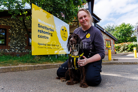 Dogs Trust Open Day
