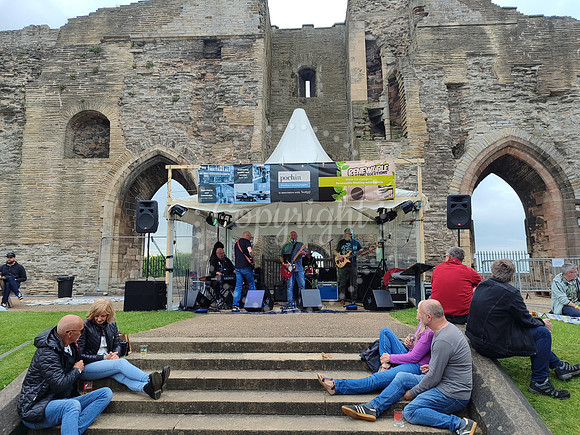 Beer Festival