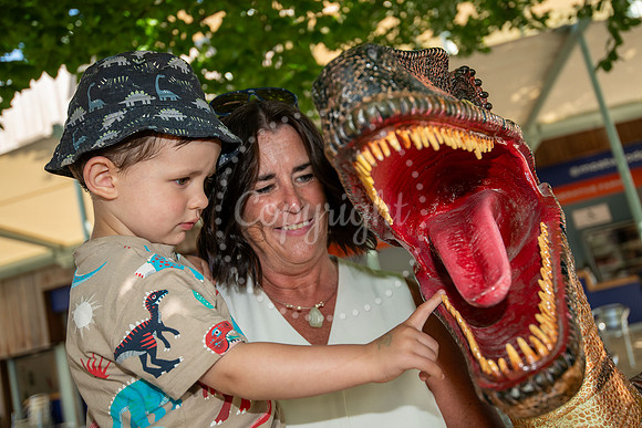 NJ July Racecourse, NewmarketDinosaur day.  Picture by Mark Wes