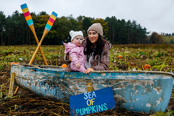Mrs G’s Pumpkin Patch in Garboldisham opening day