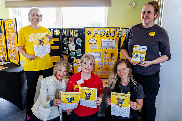 Dogs Trust Open Day