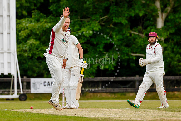Cricket action from Old Buckenham v Norwich