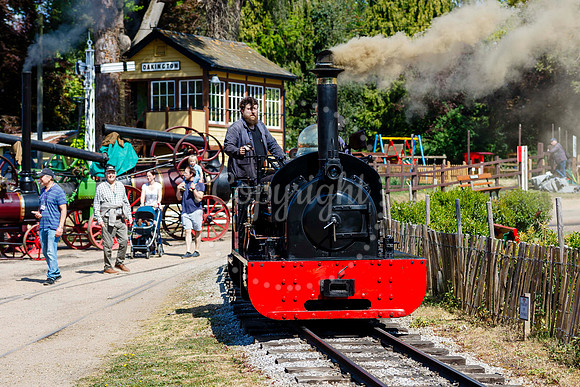 Bressingham Steam Museum annual steam gala