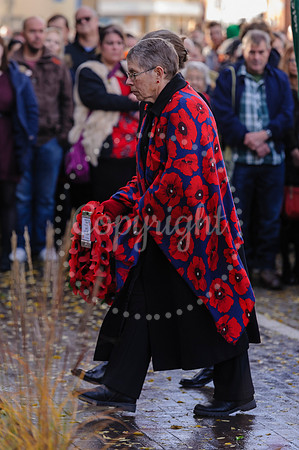 Harleston Annual Remembrance Parade and The Royal British Legion Poppy Appeal