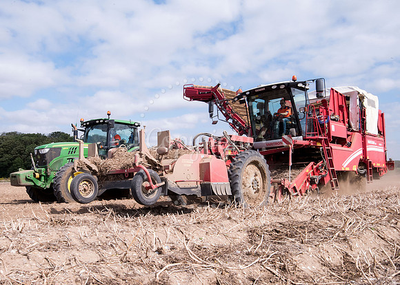 Hall Farm, Fornham St Martin, Ben Robinson farming feature. Pic