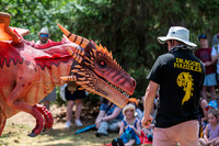 BFP West Stow Anglo Saxon VillageDragon Fest. Picture by Mark W