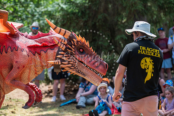 BFP West Stow Anglo Saxon VillageDragon Fest. Picture by Mark W