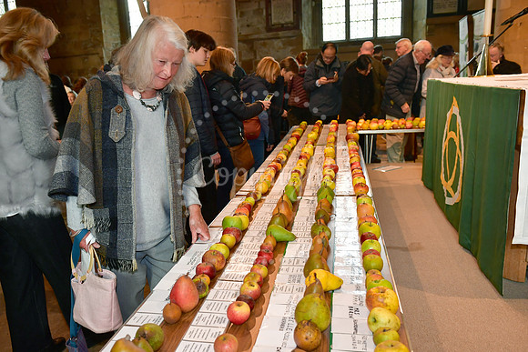 Bramley Apple Festival