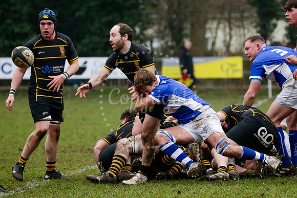 Rugby action from Diss RFC vs Ipswich.