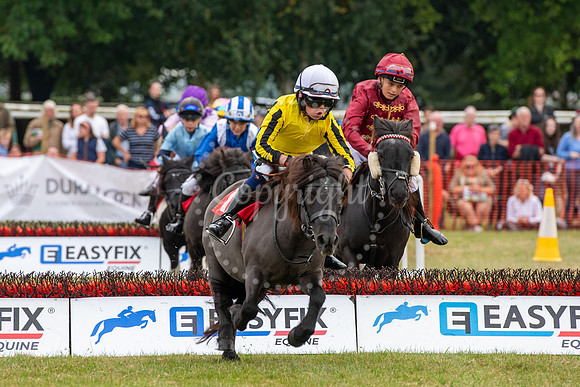 NewmarketNewmarket Stables open day and events on The Severals.