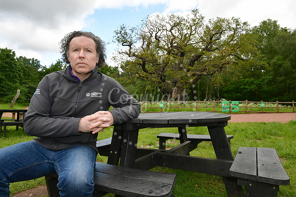 Sherwood Forest Anti-Wildfire capaign