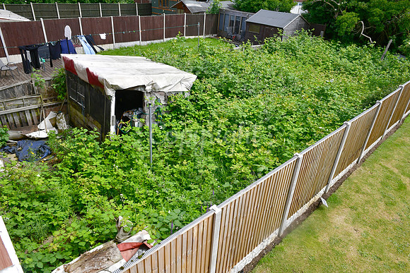 Staunton Road garden