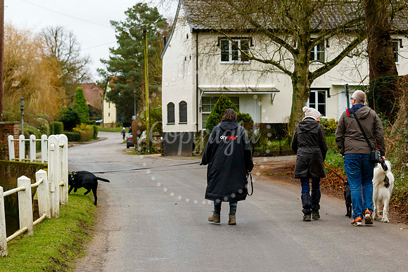 Fressingfield New Year’s Day Dog Walk