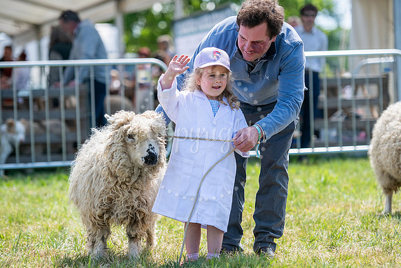 SPF Holbecks Park, Hadleigh, Suffolk186th Hadleigh Show. Pictur