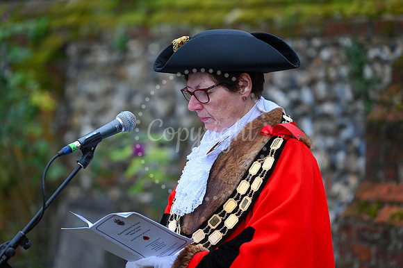 Rose Garden, Abbey Gardens Remembrance service. Picture by Mark