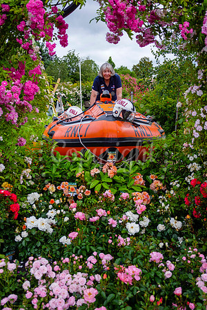 Peter Beales Rose Festival