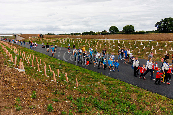 Long Stratton bypass