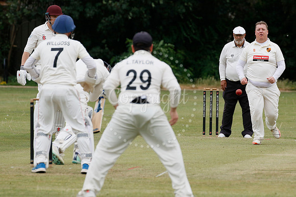 Cricket action from Diss vs Thetford Town
