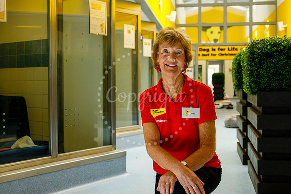 Dogs Trust Snetterton Rehoming Centre