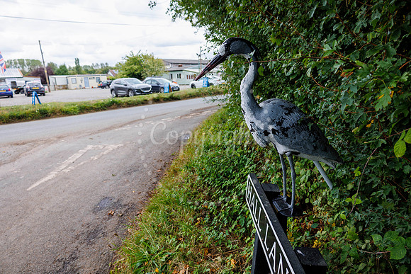 Bird Banksy