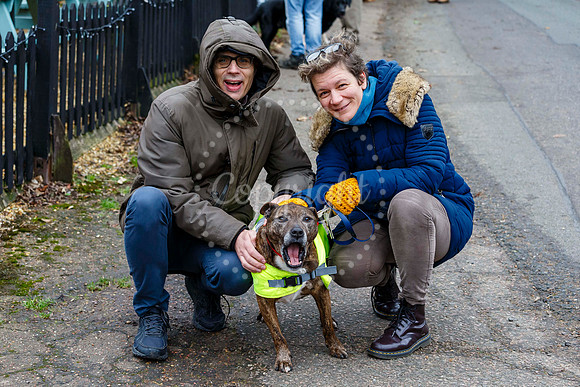Fressingfield New Year’s Day Dog Walk