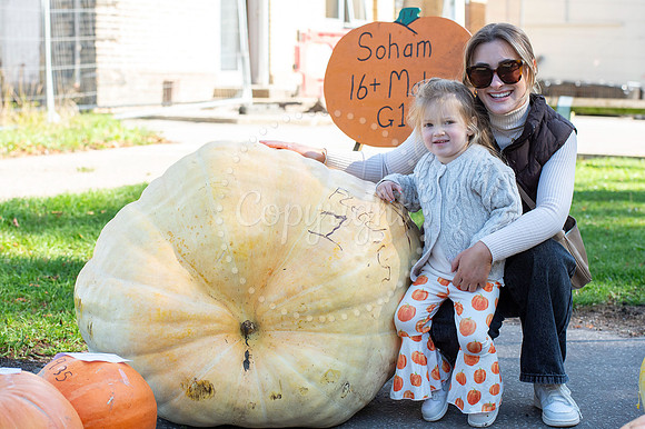 Recreation ground, SohamSoham Pumpkin Fair. Picture by Mark Wes