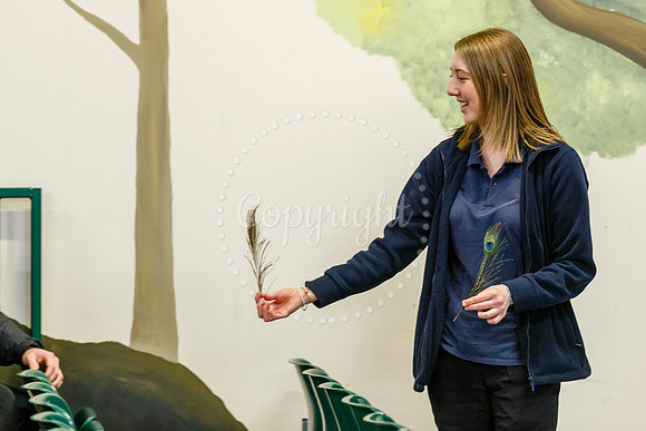 Banham Zoo has offered kids go free during the half term week.
